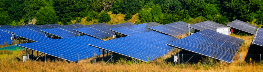 Campo di pannelli solari fotovoltaici su terreno erboso, con vegetazione boschiva sullo sfondo. Impianto di energia rinnovabile a terra.