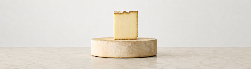 Forma di formaggio Castelmagno stagionato con una fetta rettangolare appoggiata sopra, su sfondo neutro.